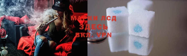 spice Алексеевка