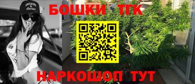 Альфа ПВП Камышлов