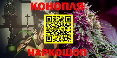 Альфа ПВП Камышлов