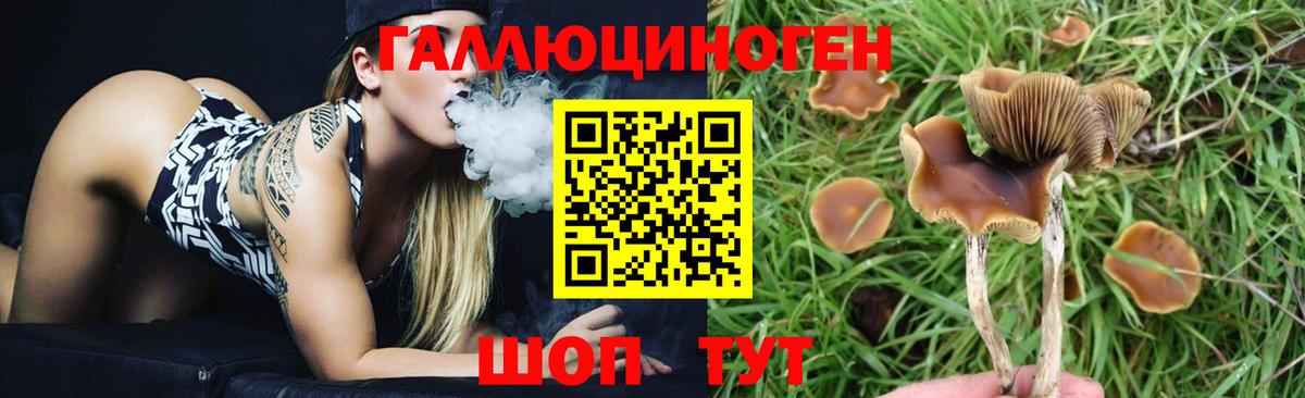 Галлюциногенные грибы MAGIC MUSHROOMS Усинск